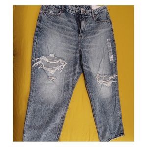 American Eagle AE Curvy Mom Jean - Size 16 - Short